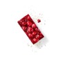 Himbeer-Quark-Schnitte 29 x 19,5 cm