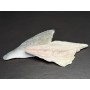 Dorade-Royal-Filet mit Haut
